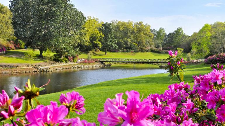 阿拉巴馬州莫比爾市面積達 26 公頃的貝林格拉思花園永遠花團錦簇 阿拉巴馬州莫比爾市面積達 26 公頃的貝林格拉思花園永遠花團錦簇