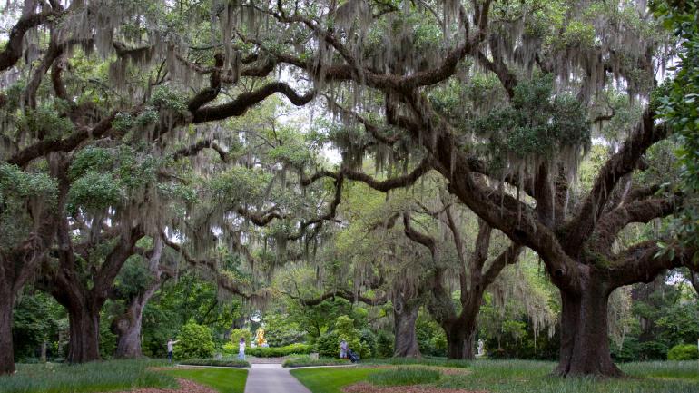 南卡羅萊納州帕利斯島附近翠綠的布魯克格林花園，設有步道、雕塑和動物園