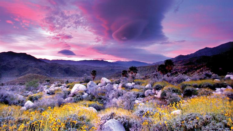 冬季是前往安德烈亞斯峽谷 (Andreas Canyon) 健行的絕佳時機，此地就位在加州棕櫚泉的南方。在此既可欣賞沙漠風光，又不必忍受沙漠的炎熱。