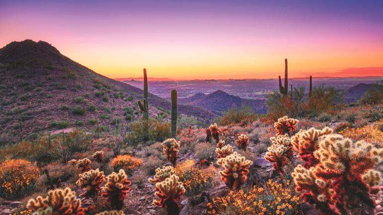 夏季探索亞利桑那州斯科茨代爾外圍沙漠的壯闊地景可能太過炎熱。冬季氣候卻非常適合來此健行。