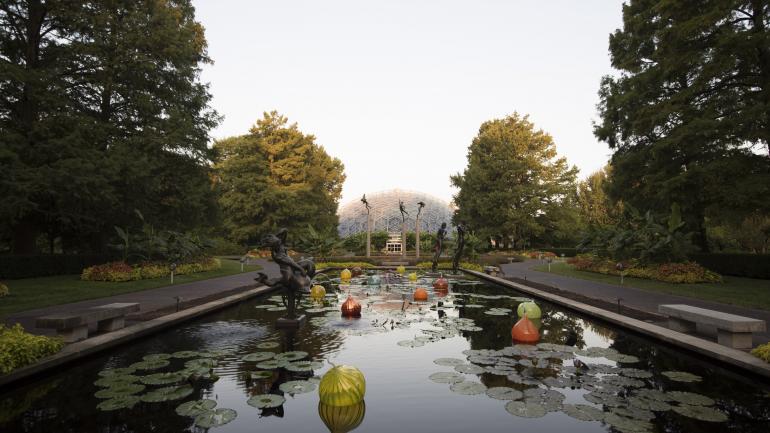 密蘇里植物園中的倒影池塘