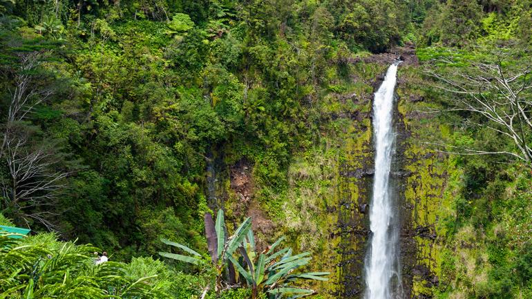 The 135-meter-tall cascade at ʻĀkaka Falls State Park in Hilo, Hawaiʻi The 135-meter-tall cascade at ʻĀkaka Falls State Park in Hilo, Hawaiʻi