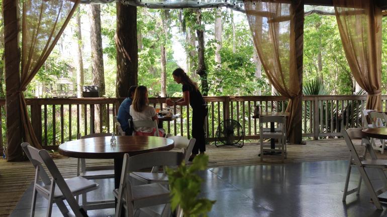 Palmettos on the Bayou 樹頂用餐趣 Palmettos on the Bayou 樹頂用餐趣