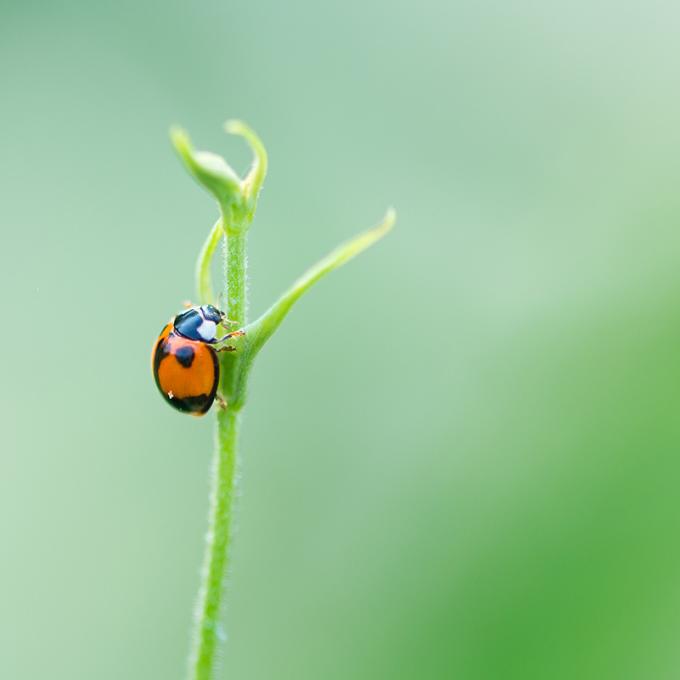 德拉瓦州有趣資訊 德拉瓦州有趣資訊