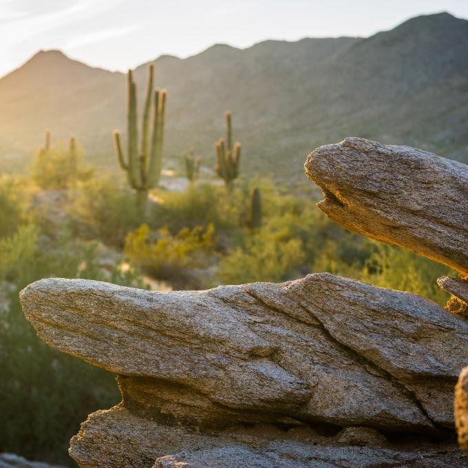 鳳凰城南山公園是全美最大的城市公園。