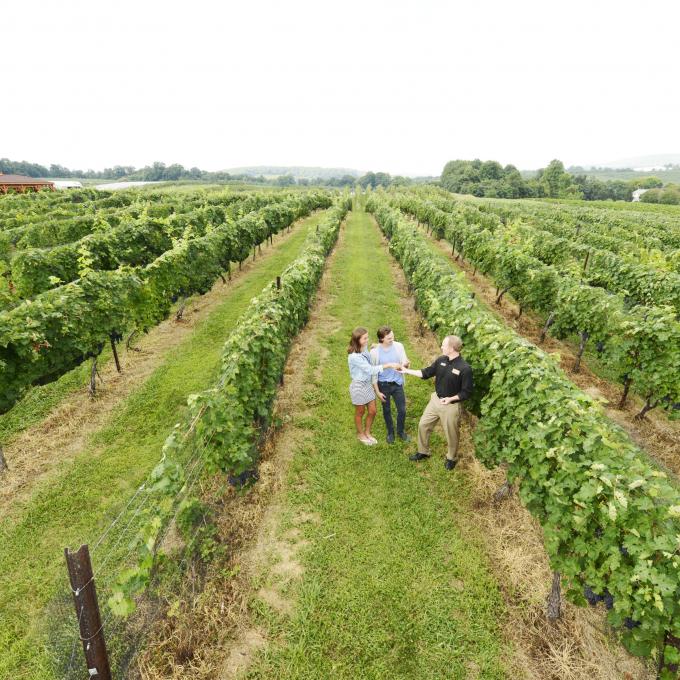 Not just a battlefield: There are more than a dozen wineries, distilleries and breweries around Gettysburg that are open to the public.