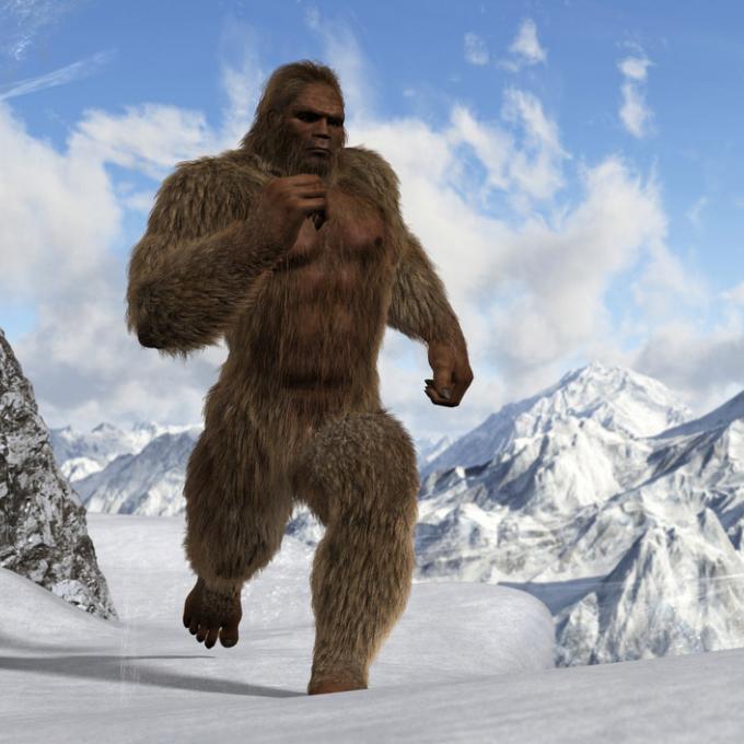 緬因州波特蘭國際神秘動物學博物館裡的展覽 緬因州波特蘭國際神秘動物學博物館裡的展覽