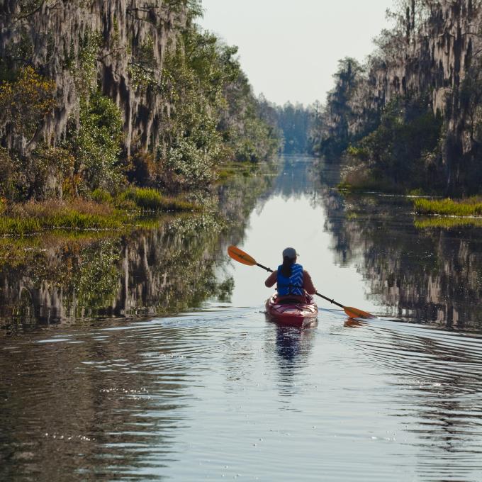 Kayaking on the Okefenokee Swamp in Georgia Kayaking on the Okefenokee Swamp in Georgia