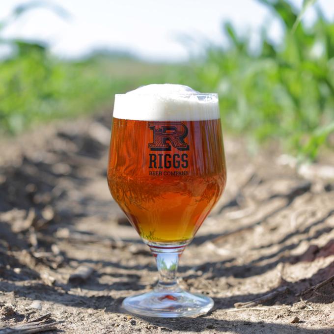 A glass of beer from Riggs Beer Company in Urbana, Illinois