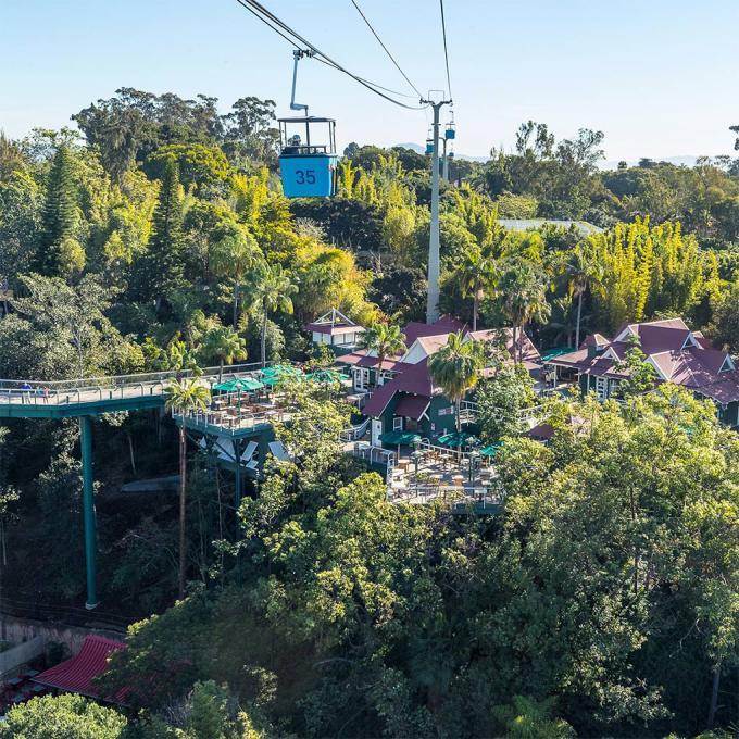 The Skyfari Aerial Tram at the San Diego Zoo The Skyfari Aerial Tram at the San Diego Zoo