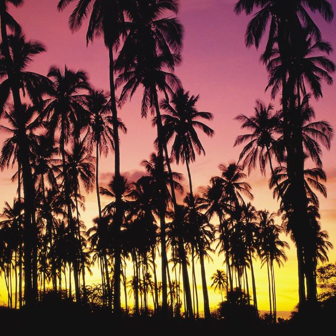 Hawaiʻi's Royal Coconut Coast located in Kauaʻi