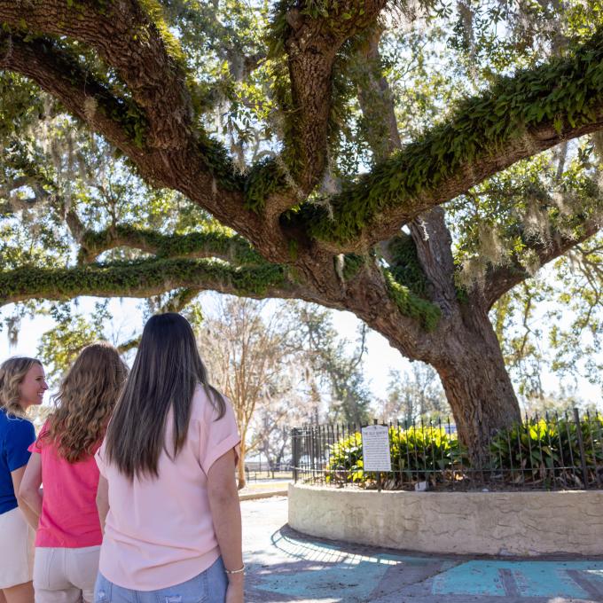 Standing in front of Panama City, Florida's "Sentry Oak" tree Standing in front of Panama City, Florida's "Sentry Oak" tree