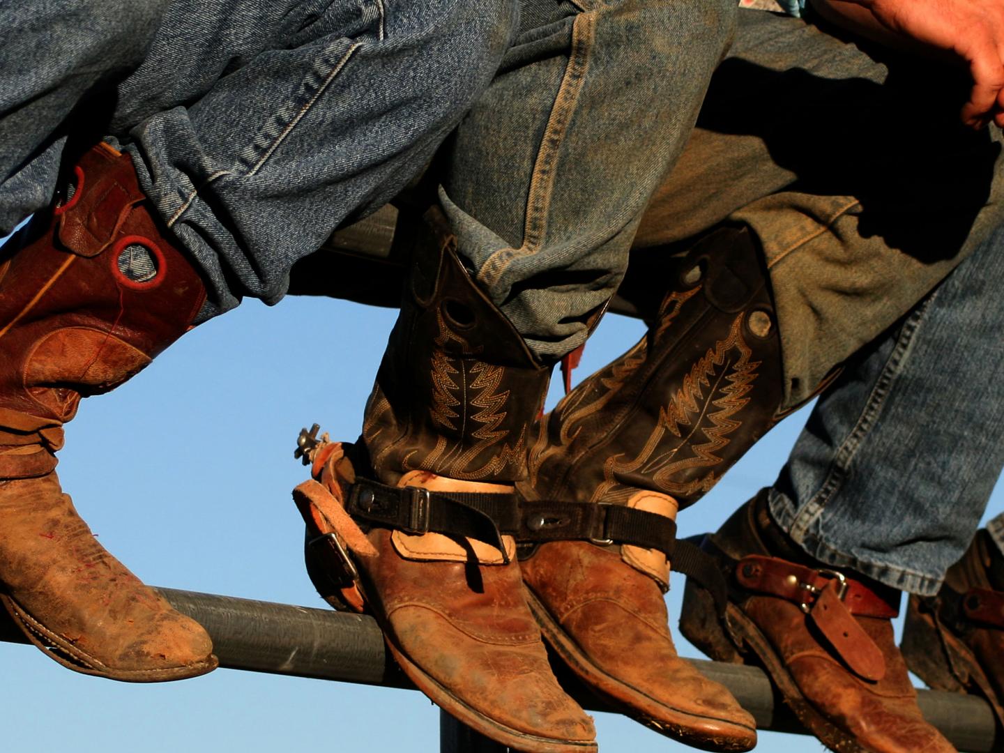 西愛達荷州博覽會展出的牛仔靴