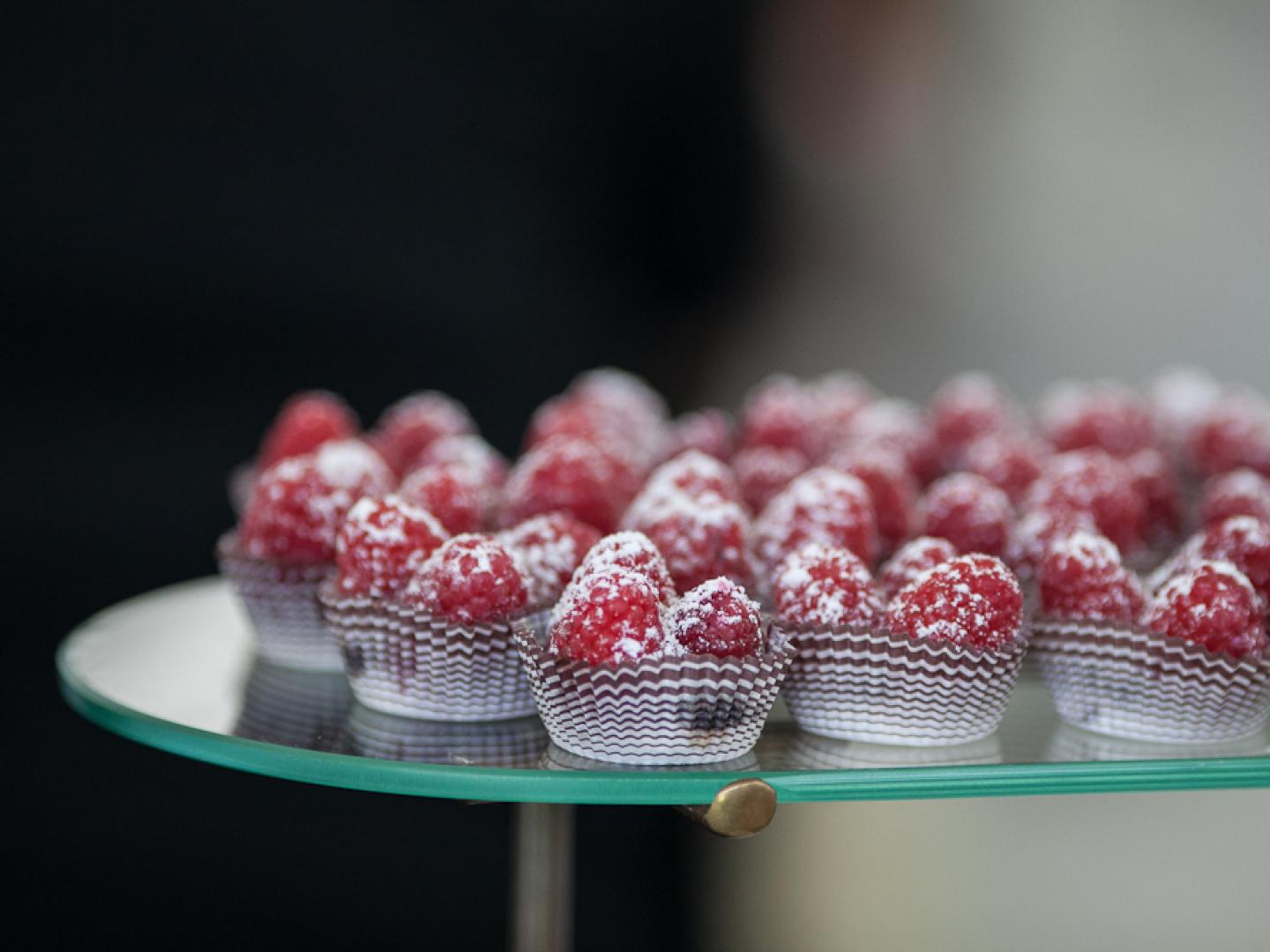 千禧公園的芝加哥美食慶典上的美食盛宴
