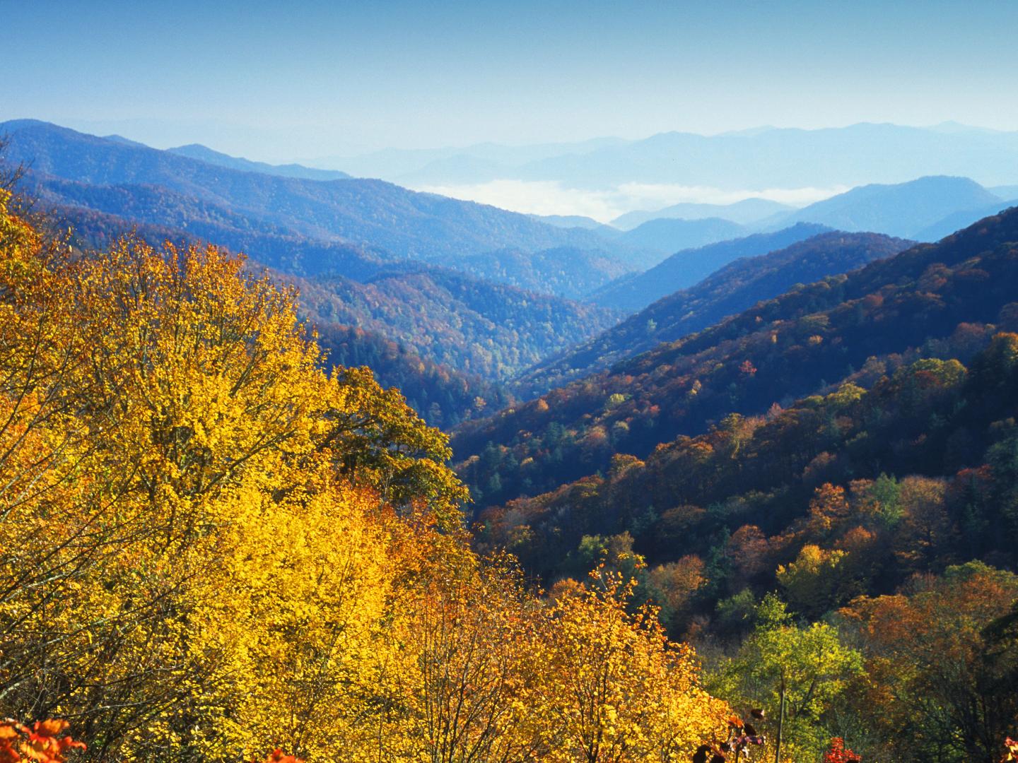 大煙山紐芬德隘口秋色