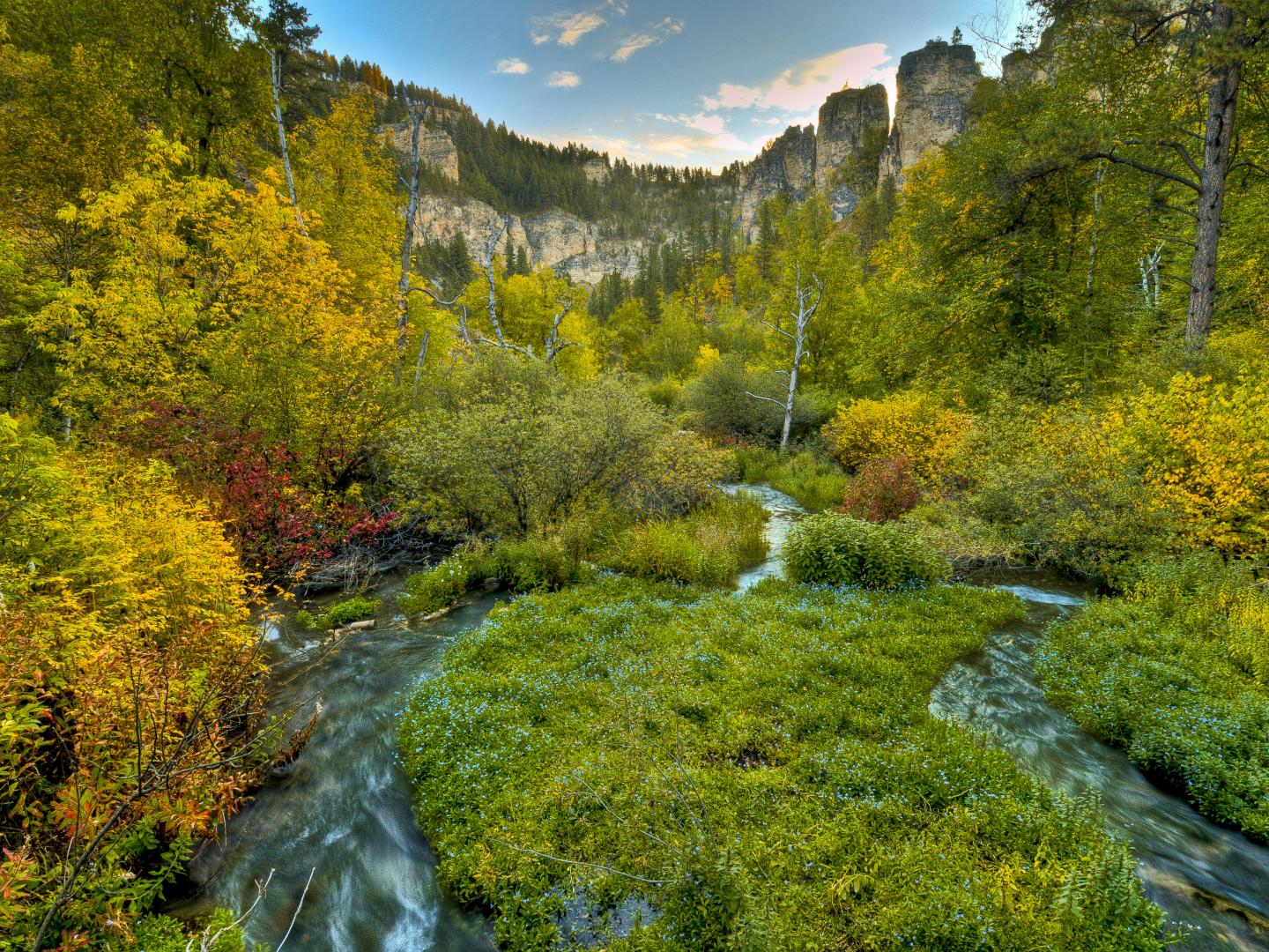 矛魚峽谷的蜿蜒溪流