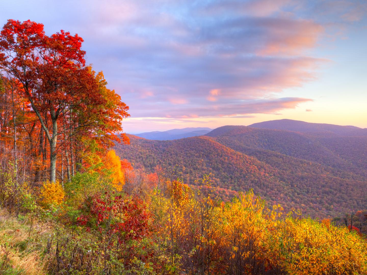 仙納度國家公園 (Shenandoah National Park)