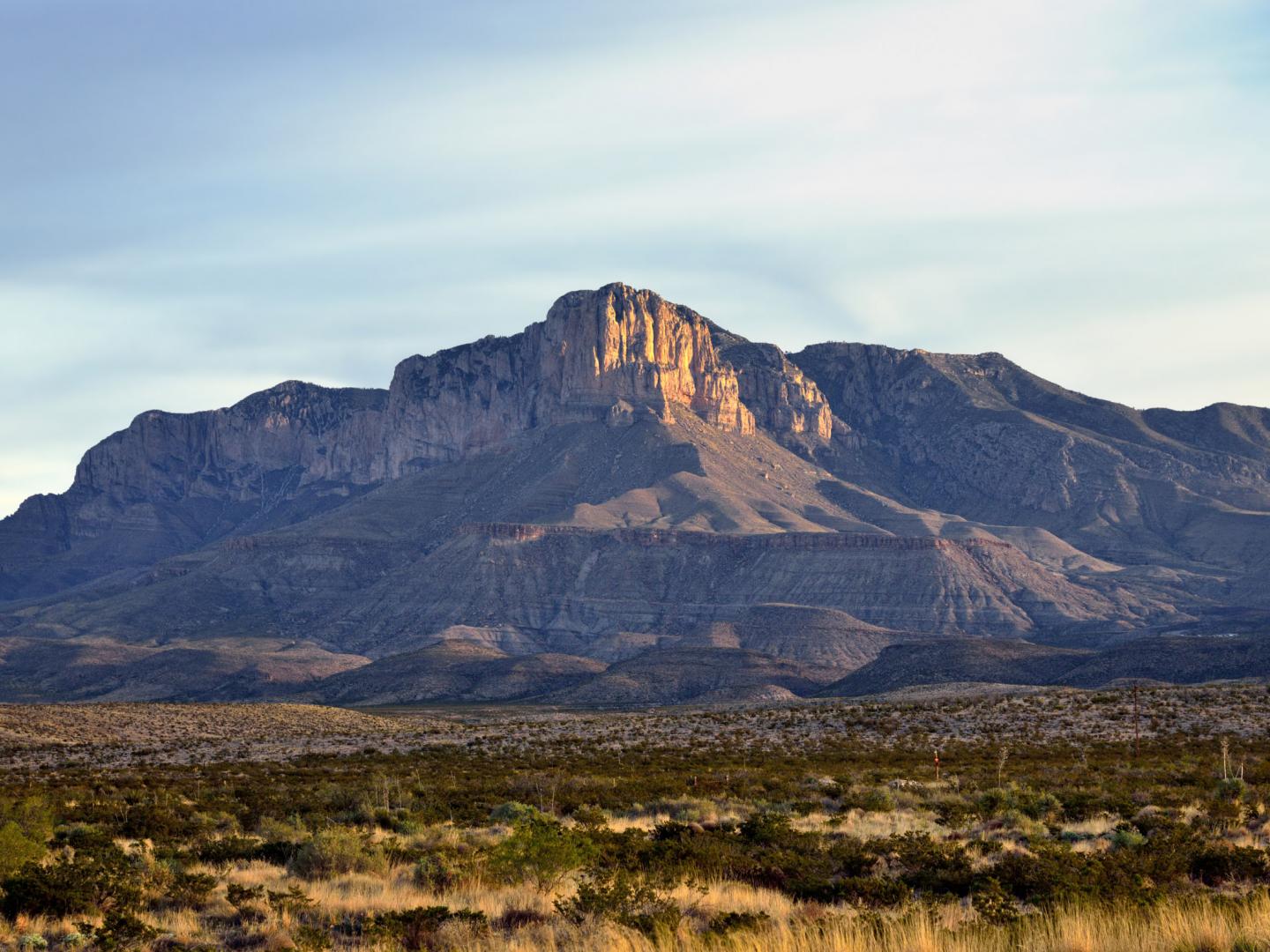瓜達洛普山國家公園