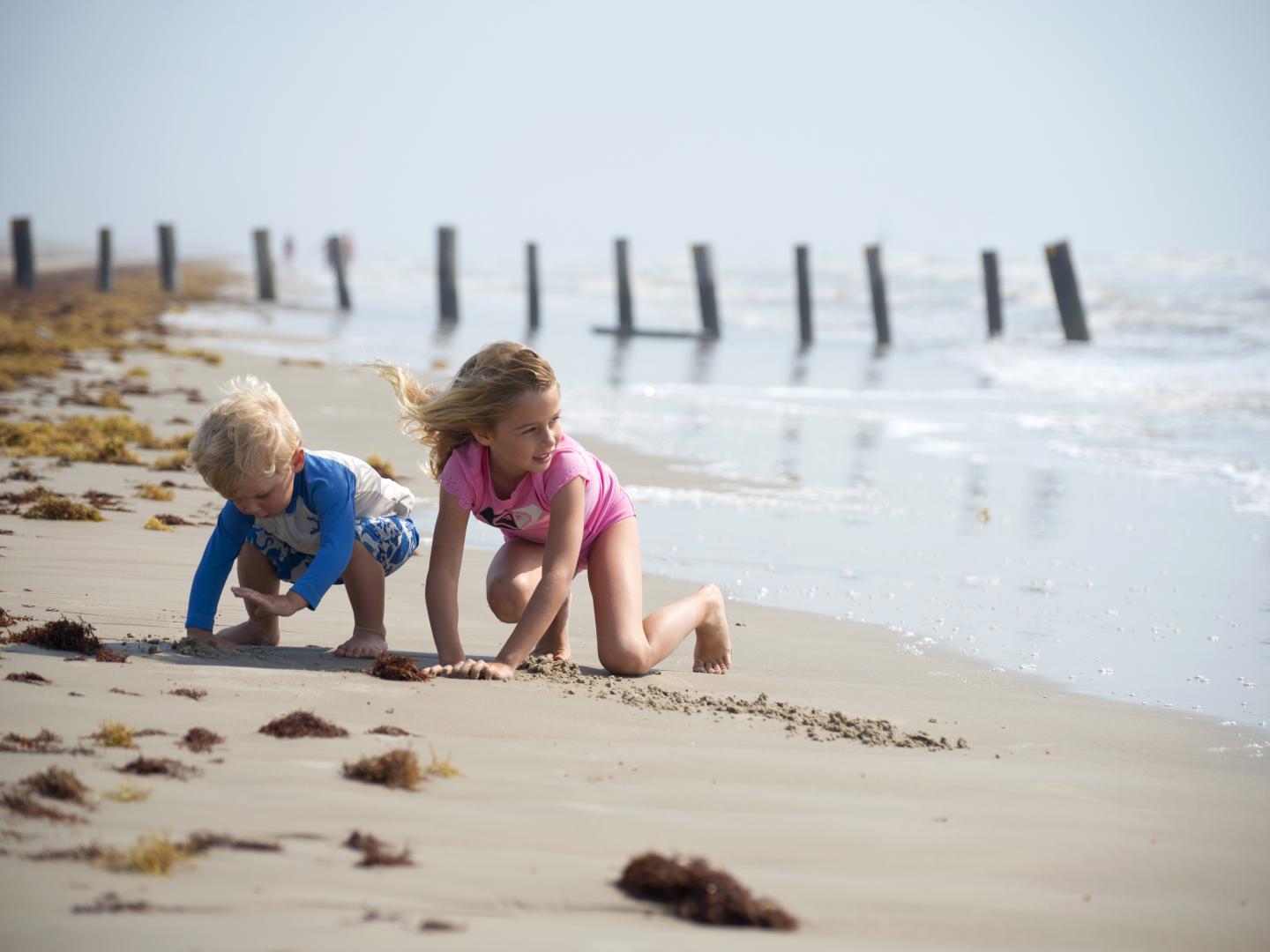 帕德雷島國家海濱公園