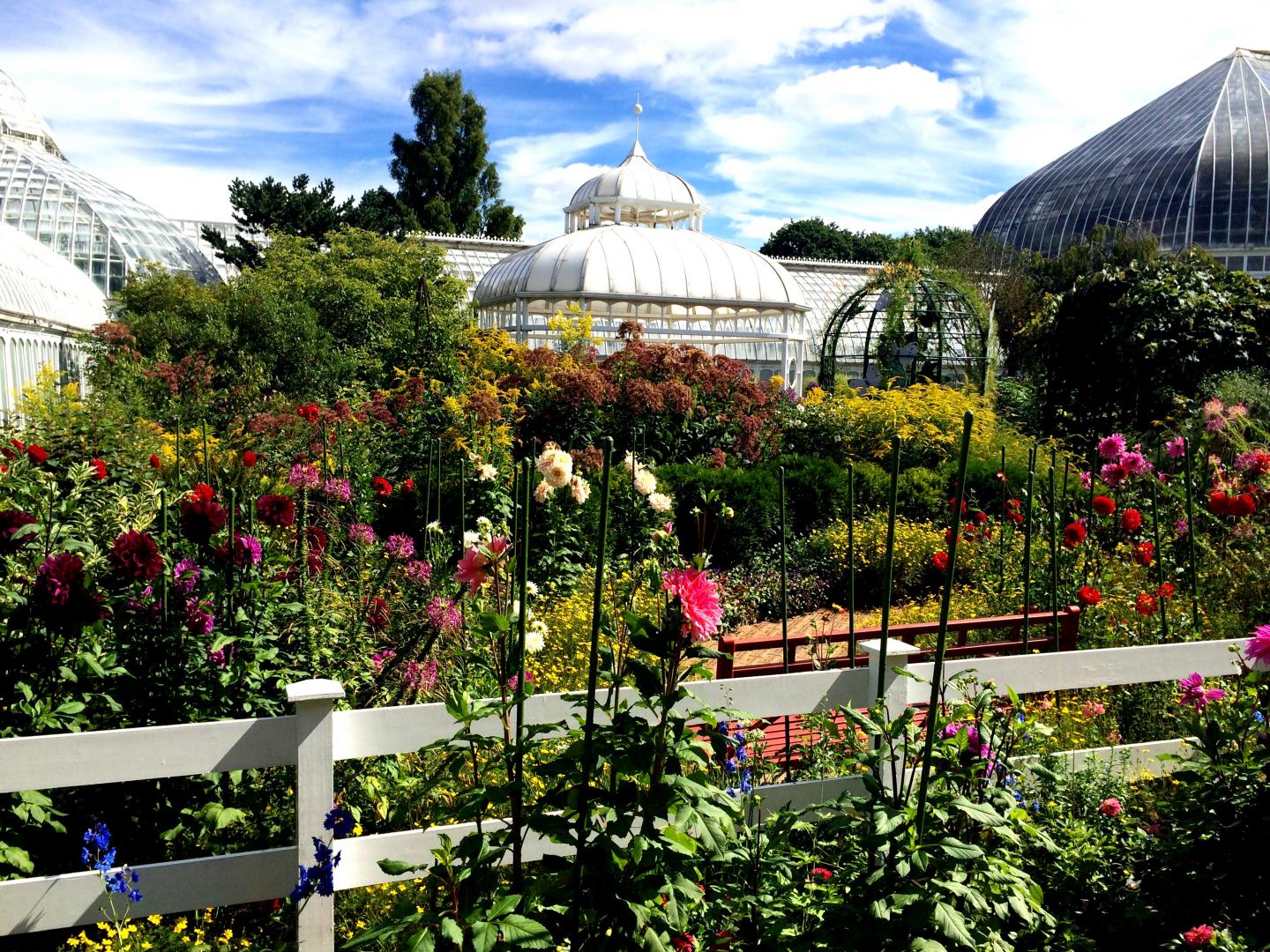 鄰近賓州匹茲堡的菲普斯溫室植物園