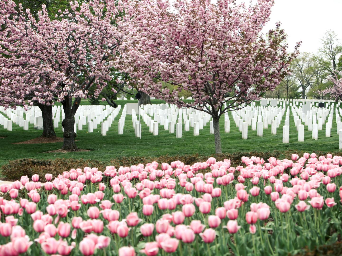 阿靈頓國家公墓