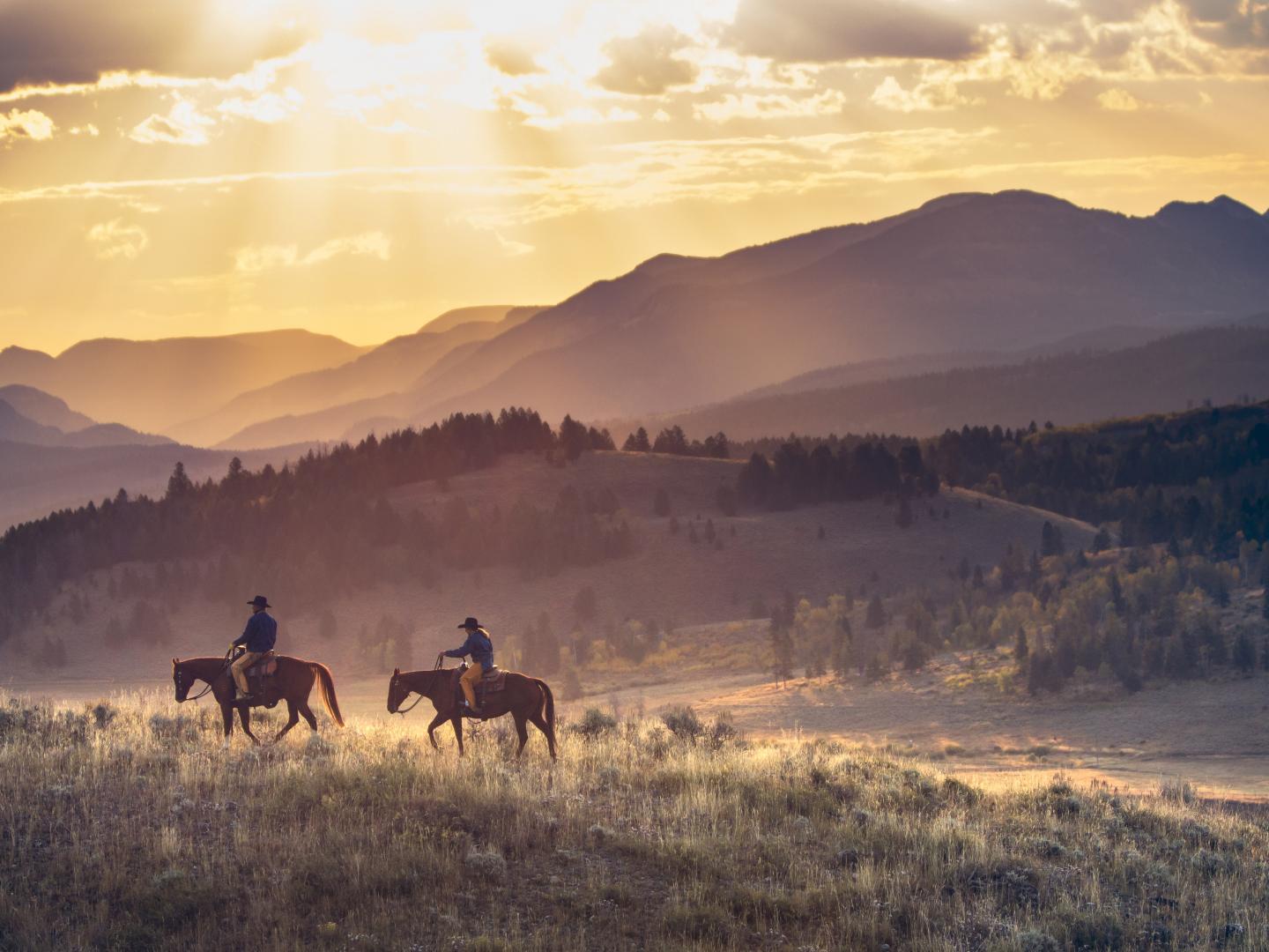 蜿蜒行經大霍恩山脈