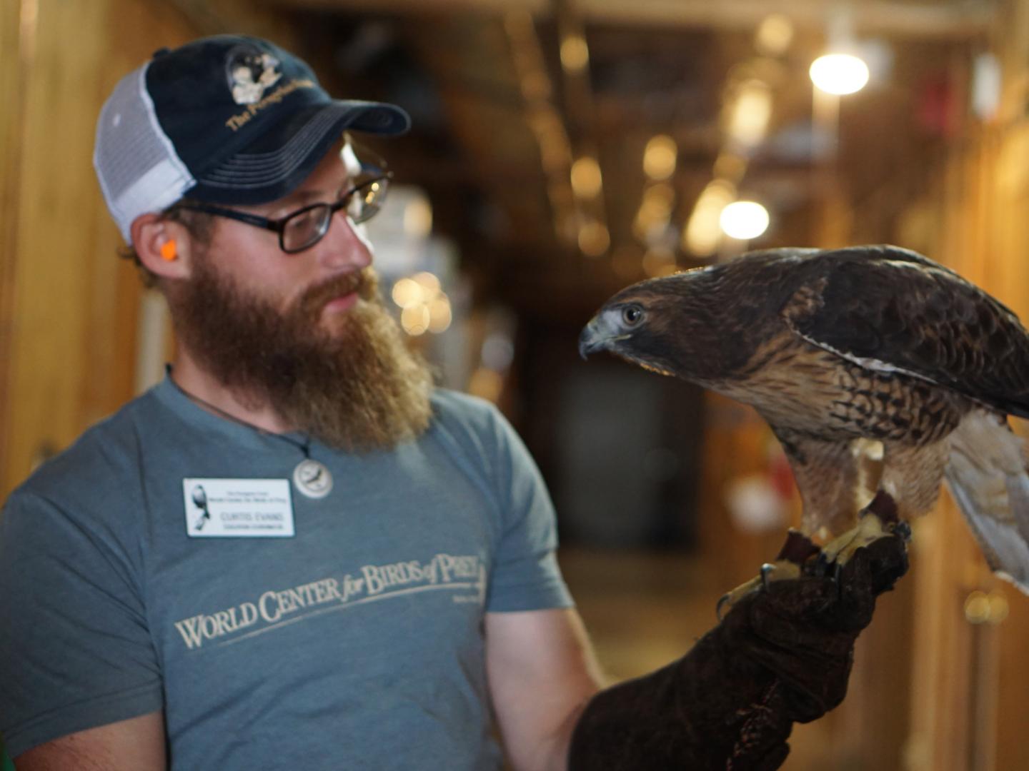 在世界猛禽中心與不可思議的動物互動