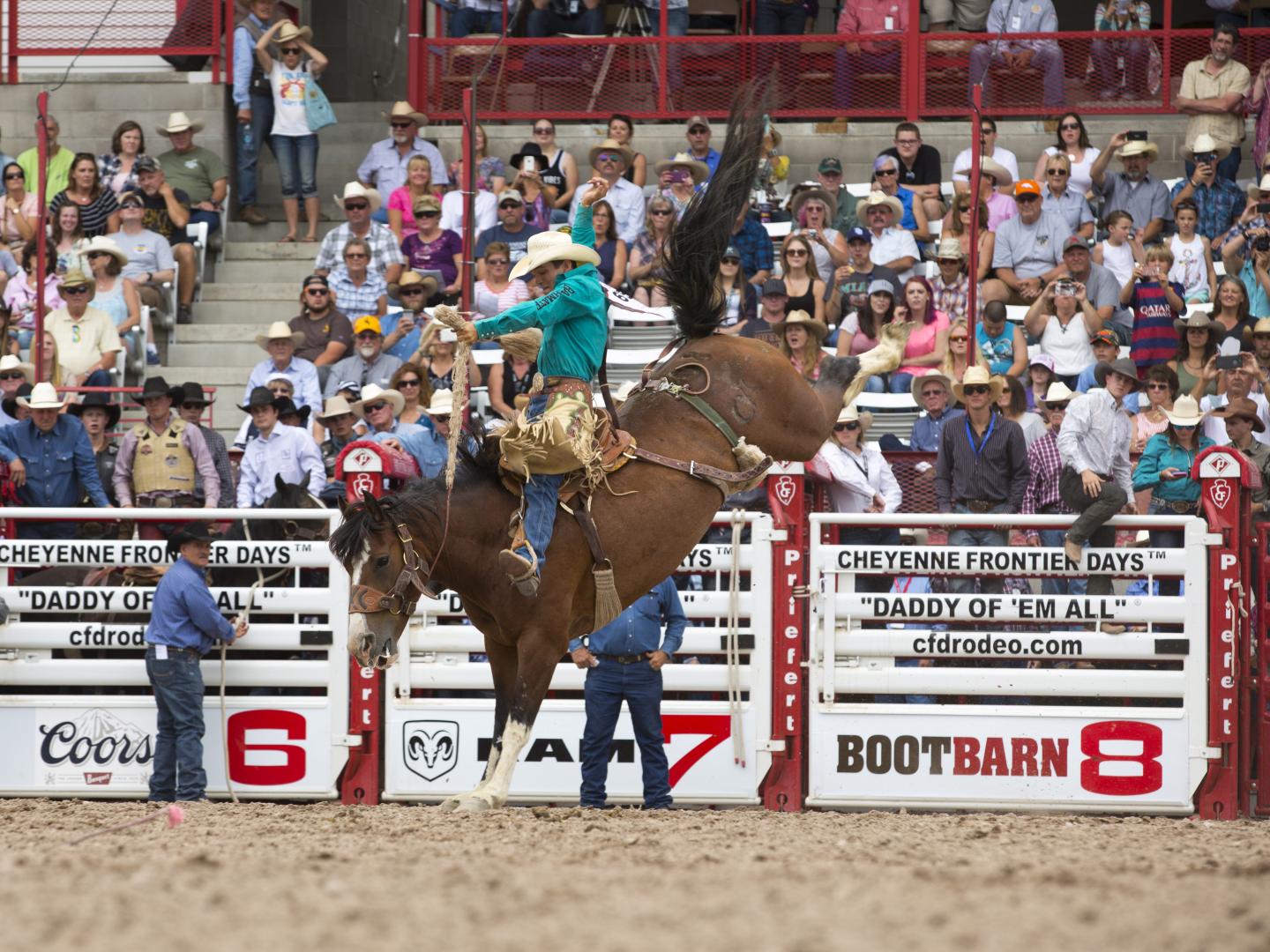 懷俄明州夏延邊界節牛仔競技的騎術專家