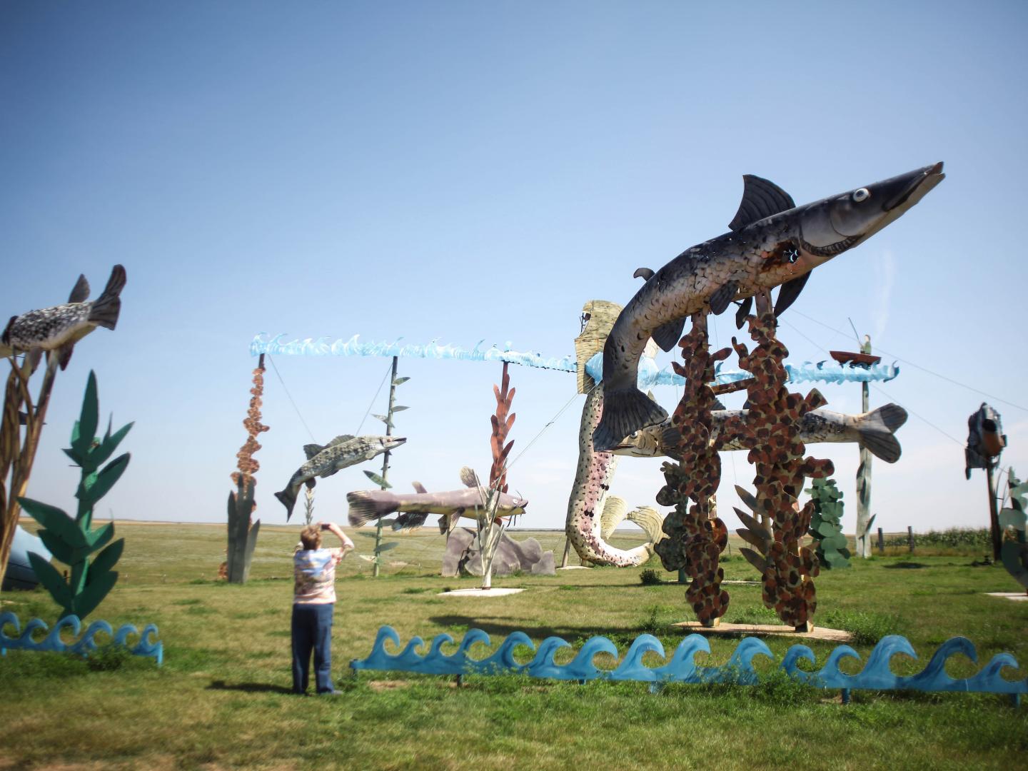 魔法公路沿線的蚱蜢雕塑