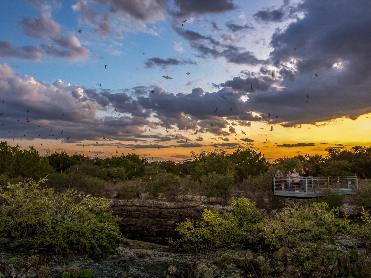 Watching the bats at Devil's Sinkhole State Natural Area in Texas