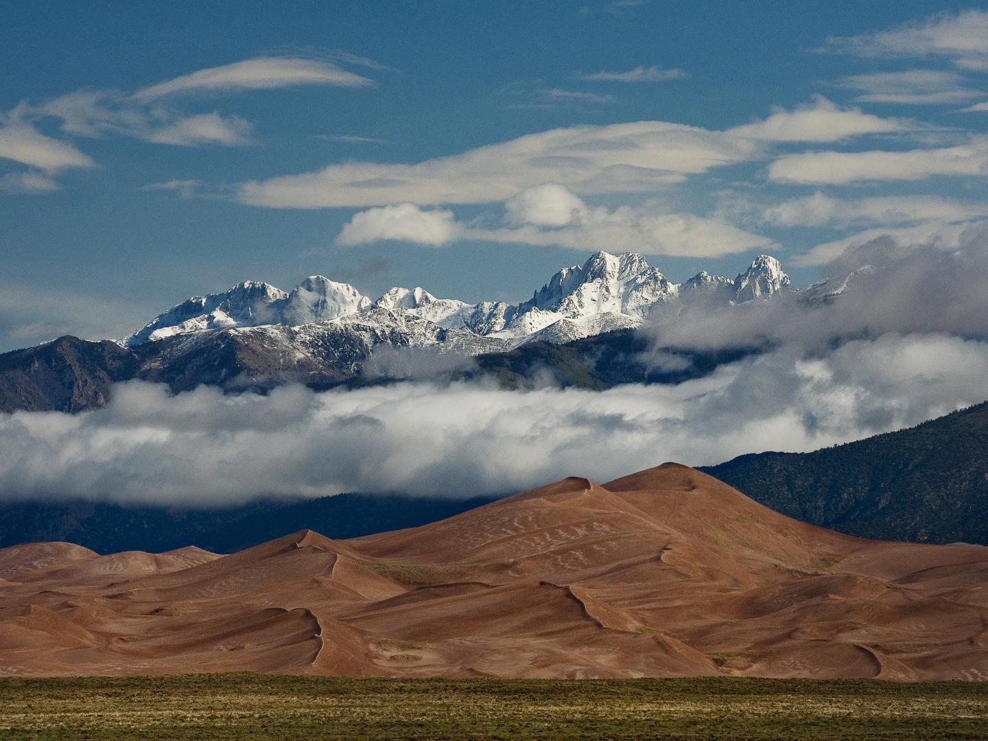 凝視大沙丘的駝鹿