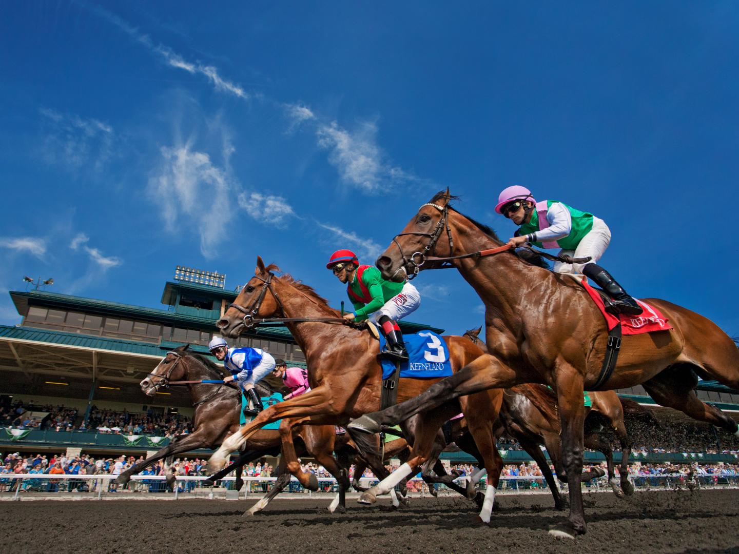 Thoroughbred horses race at Keeneland in Lexington, Kentucky