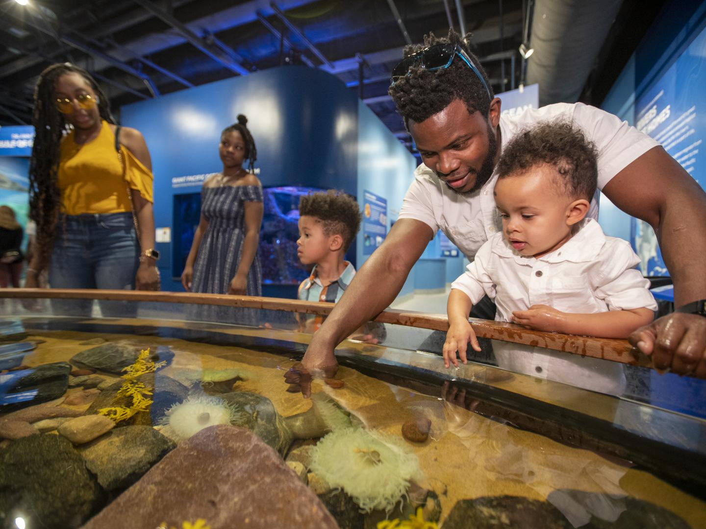 Touching sea creatures at the National Mississippi River Museum & Aquarium in Dubuque, Iowa Touching sea creatures at the National Mississippi River Museum & Aquarium in Dubuque, Iowa