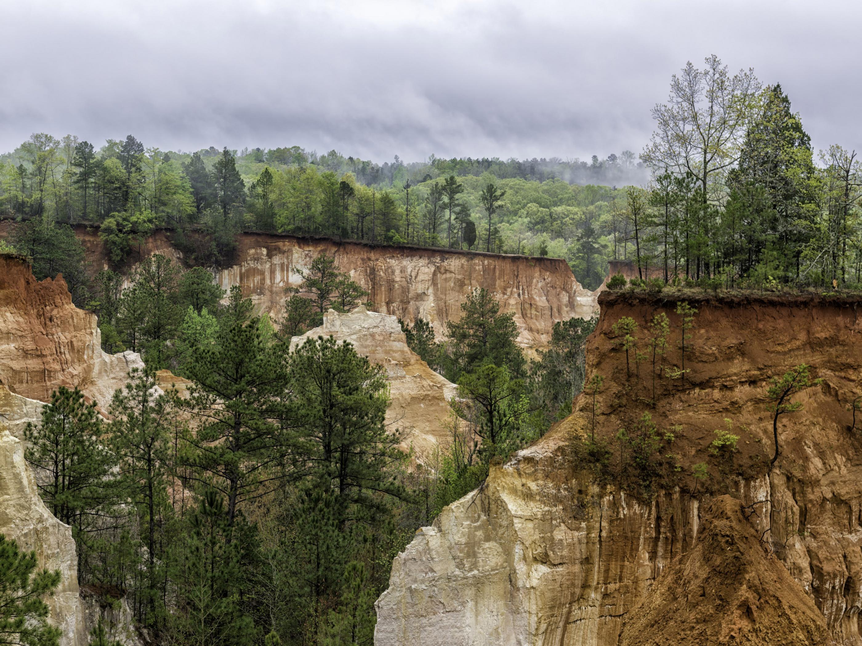 Sandstone cliffs at Providence Canyon State Park Sandstone cliffs at Providence Canyon State Park