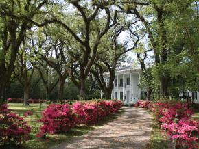 莫比爾歷史悠久的布拉格米切爾宅第 莫比爾歷史悠久的布拉格米切爾宅第