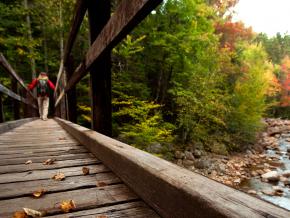 白山秋葉時節的橋景