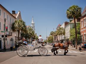 南卡羅萊納州查爾斯頓街頭的馬車 南卡羅萊納州查爾斯頓街頭的馬車
