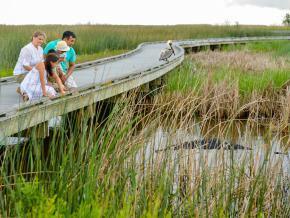 Wildlife watching on the Creole Nature Trail Wildlife watching on the Creole Nature Trail