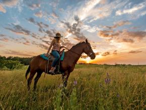 騎馬探索 Circle S 牧場