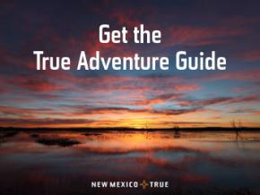 New Mexico True Adventure Guide logo