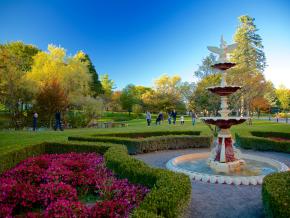 Discover Saratoga Discover Saratoga