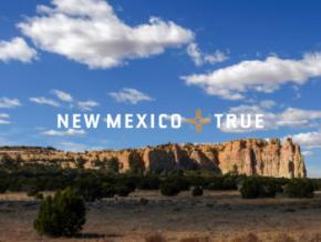 Official New Mexico True logo