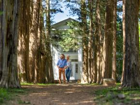 Storied red cedar trees outside Rowan Oak, the home of writer William Faulkner in Oxford, Mississippi
