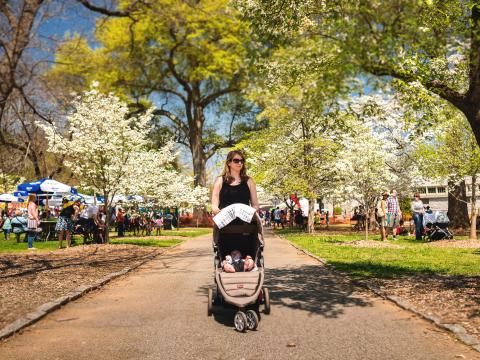Families enjoying the Atlanta Dogwood Festival under blooming dogwood trees Families enjoying the Atlanta Dogwood Festival under blooming dogwood trees
