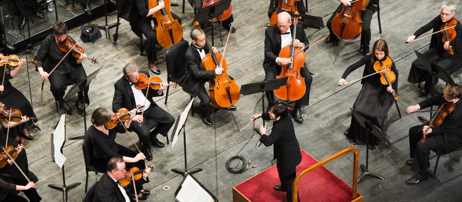 A performance of the New Jersey Symphony Orchestra