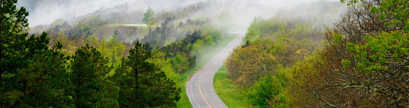 塔里滿納風景道路曲折蜿蜒