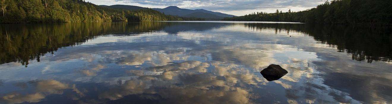 在紐約州的富蘭克林瀑布池塘眺望藍山