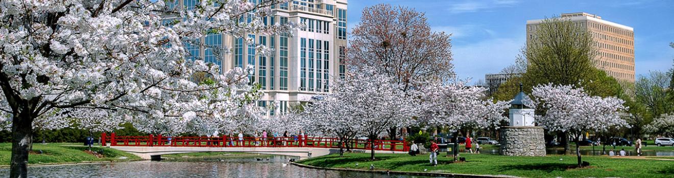 阿拉巴馬州亨茨維爾的大泉公園