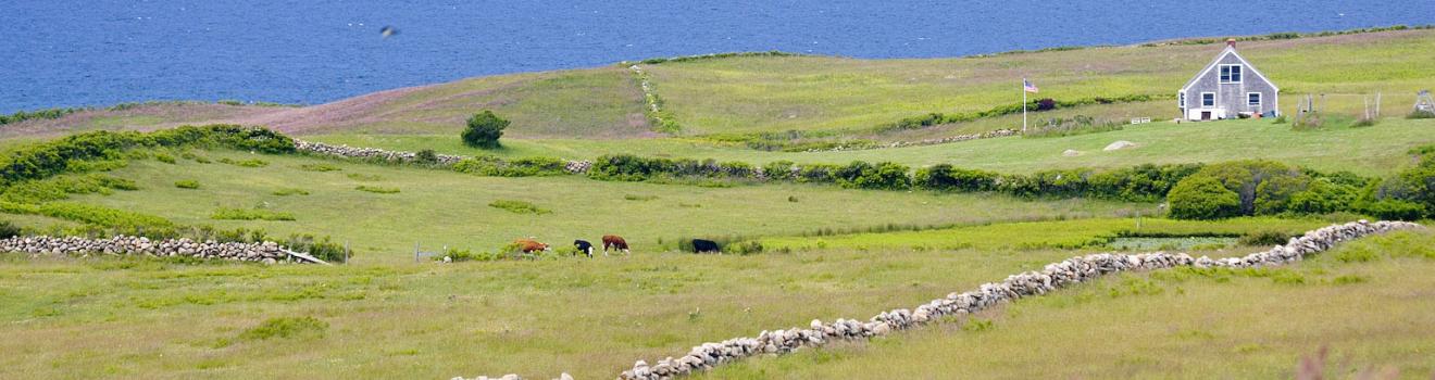 羅德島州布洛克島海岸地區的農田景觀