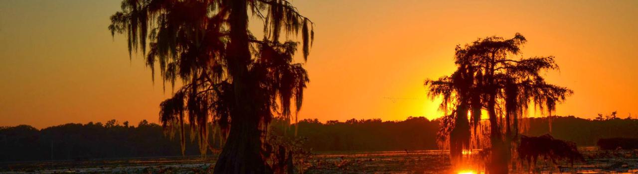 The sunset over Lafayette's Lake Martin The sunset over Lafayette's Lake Martin